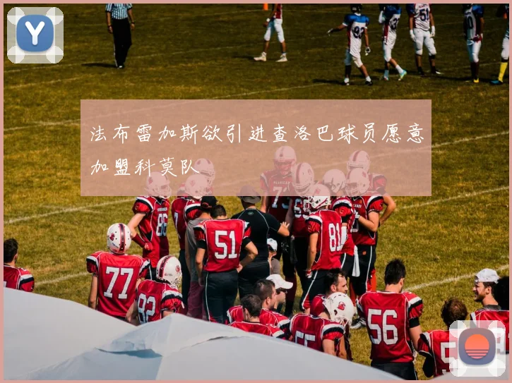 法布雷加斯欲引进查洛巴球员愿意加盟科莫队
