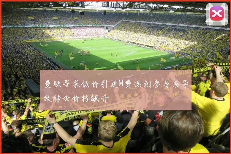曼联寻求低价引进M费热刺参与或导致转会价格飙升